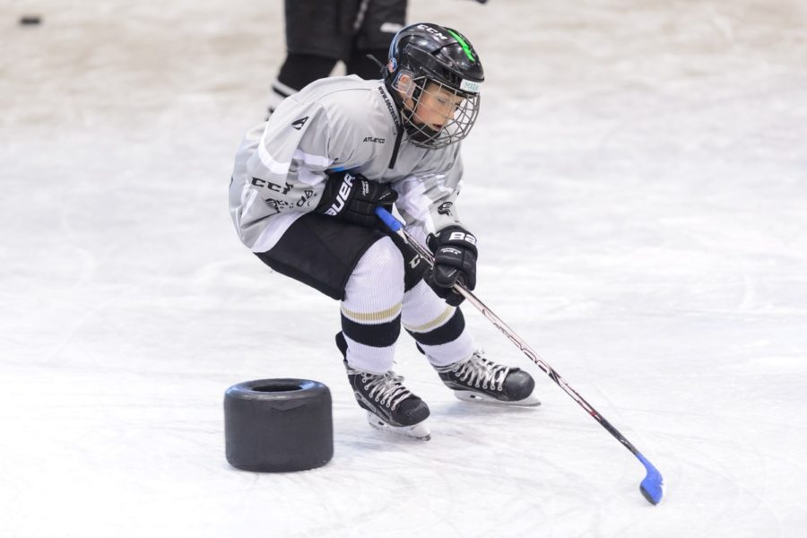 Eishockey Intensivkurs